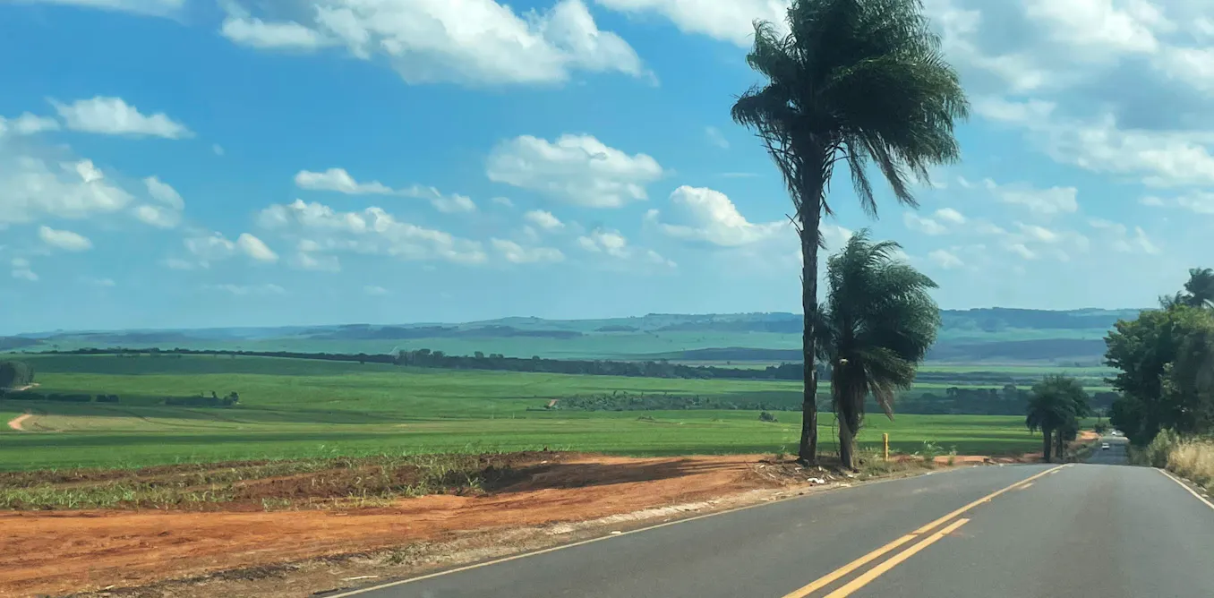 Agriculture in Brazil: how land-use choices affect biodiversity and the global climate
