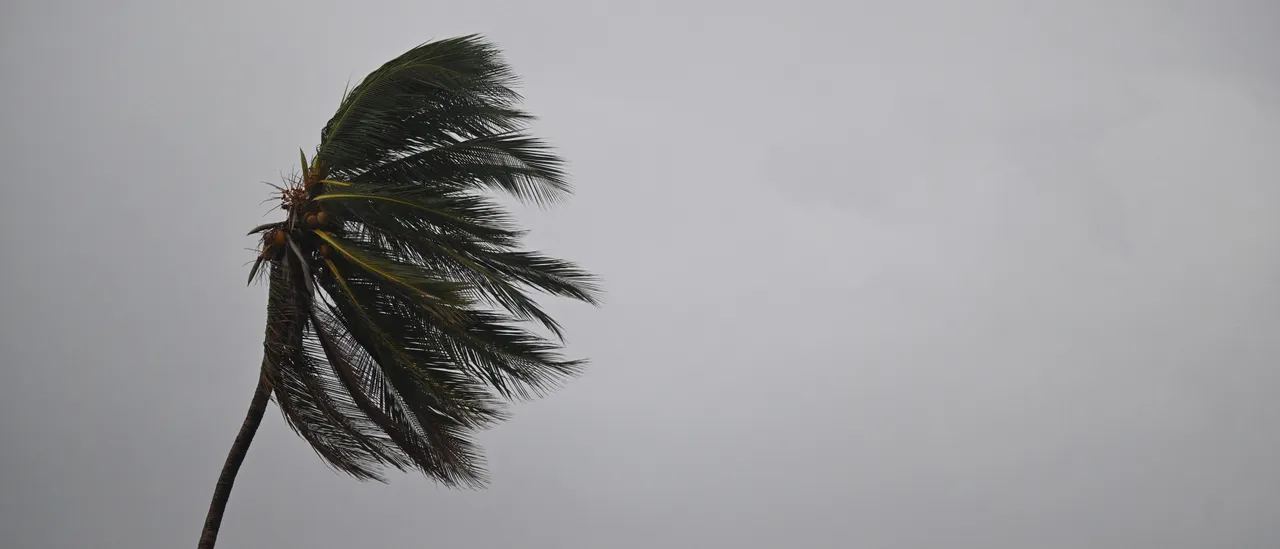 Wild Video Shows Jamaica Getting Blasted By Hurricane Melissa’s 185 MPH Winds
