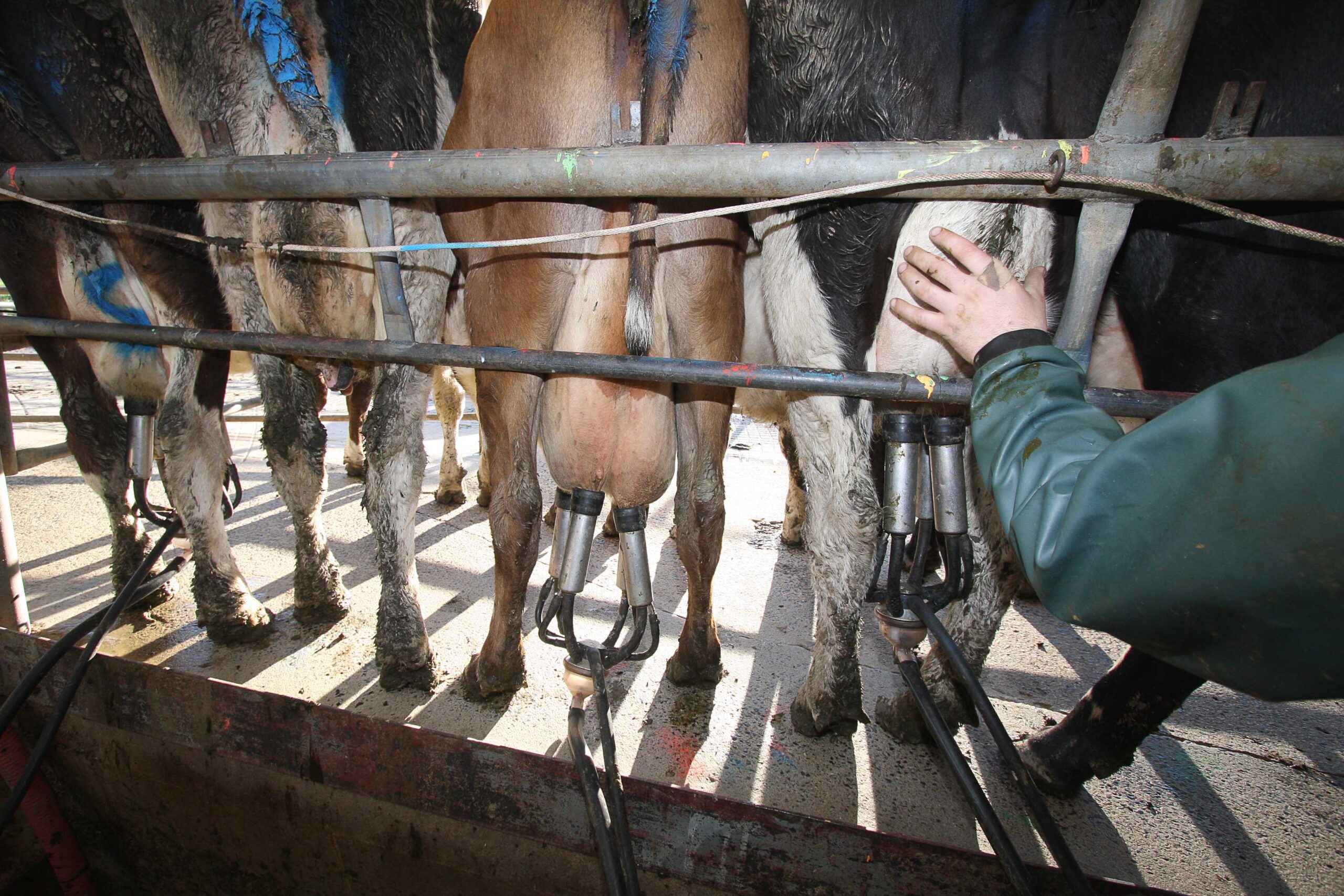 Ag antibiotic use continues to drop off