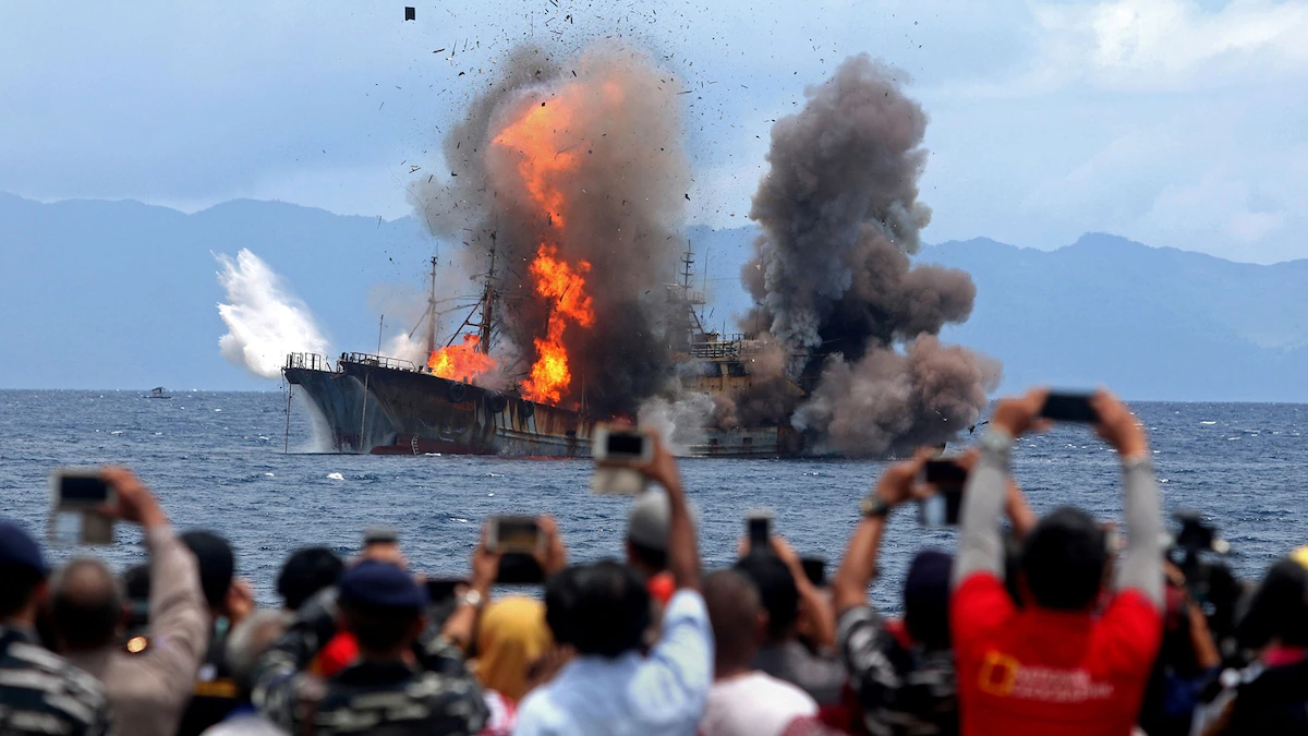 Interpol's fish crime detectives who hunted villains on the high seas