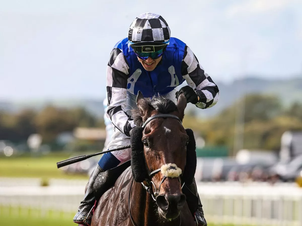 Bookie ‘nearly wets his pants’ after taking £250,000 bet on Melbourne Cup favourite