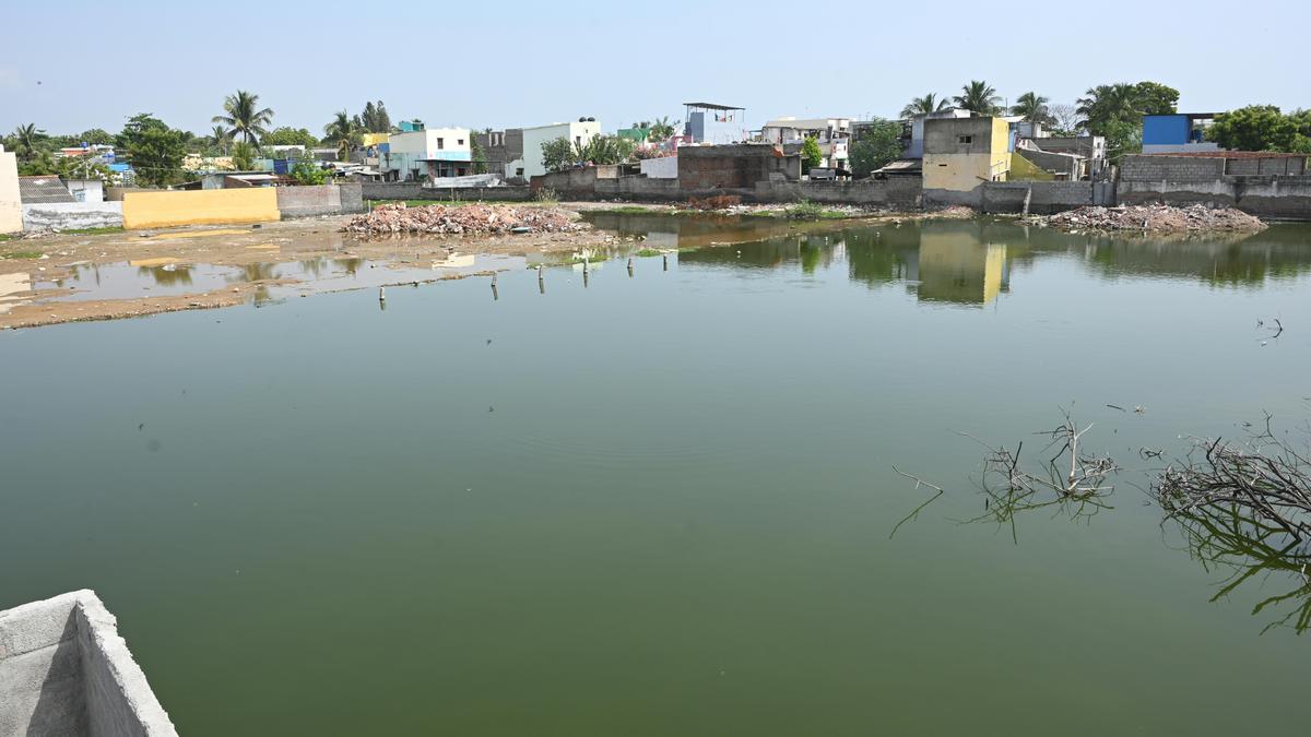 Rainwater stagnation on land becomes mosquito breeding ground in Thoothukudi