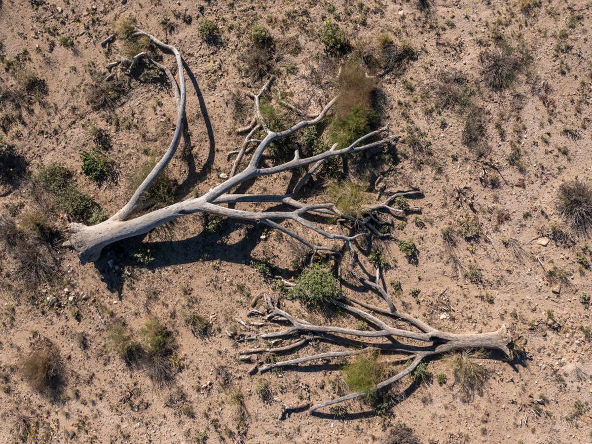 Abandoned waterpark becomes canvas for graffiti artists and paradise for skaters