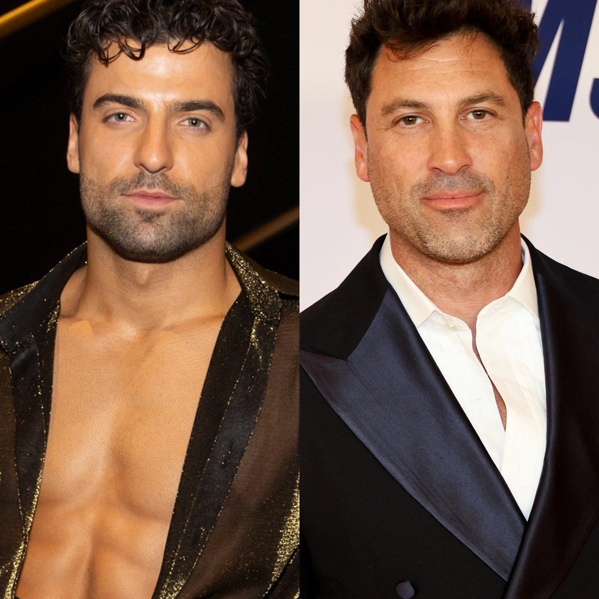 DWTS' Jan Ravnik Posts Taylor Swift Lyric Amid Maks Chmerkovskiy Drama