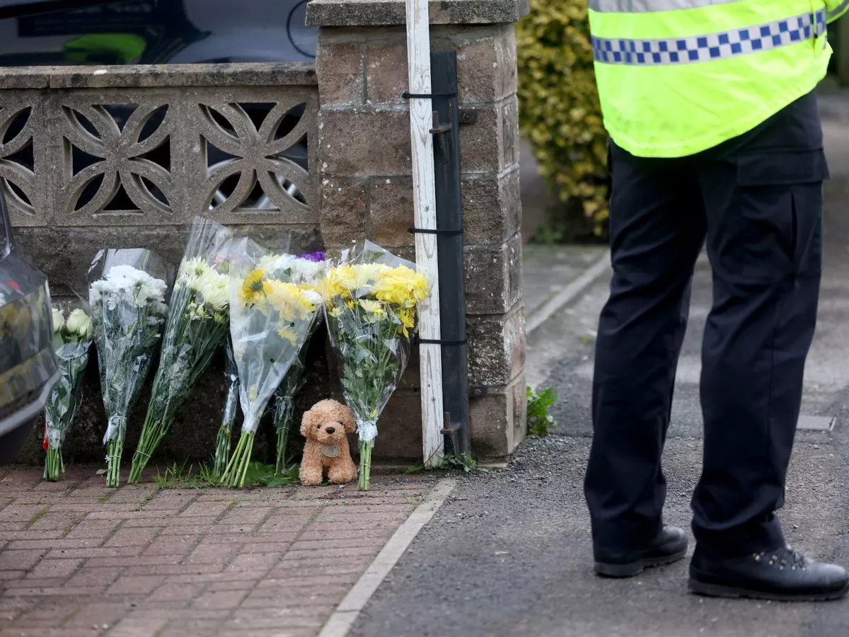 Police confirm dog that killed nine-month old baby boy was 'registered' XL bully