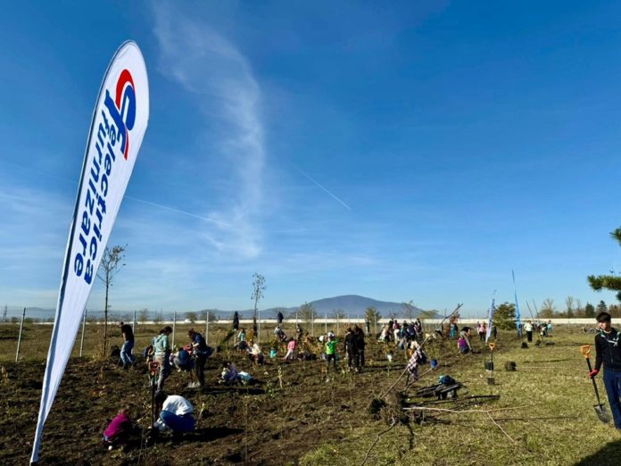 Electrica Furnizare and Act for Tomorrow Association plant a new forest as part of the “We Plant Energy for the Future” program