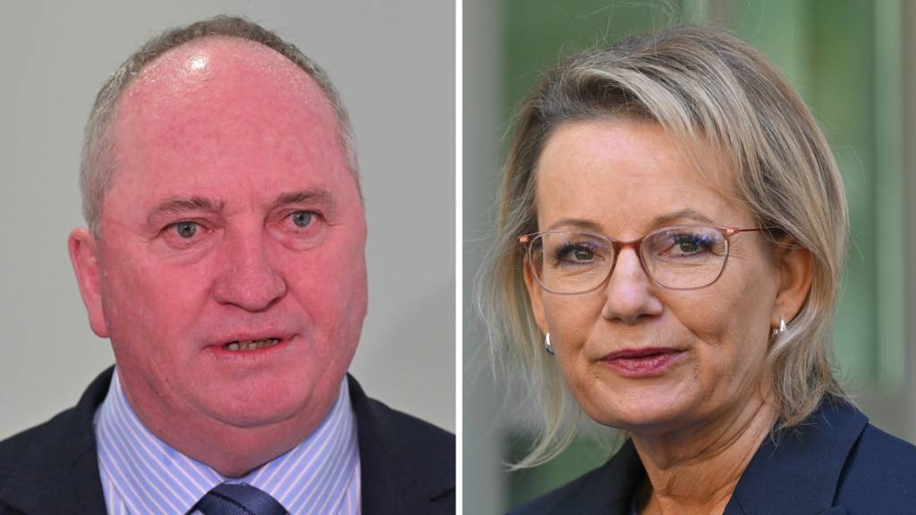 There’s an obvious way for the Liberals to win on climate — if only they were smart enough