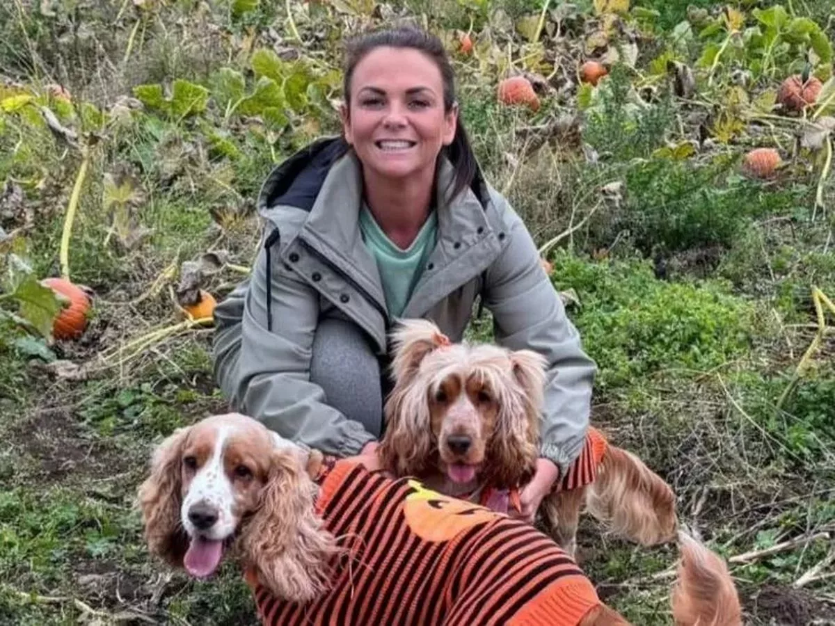 Mum's life is 'ruined' in hit-and-run incident as police make arrest