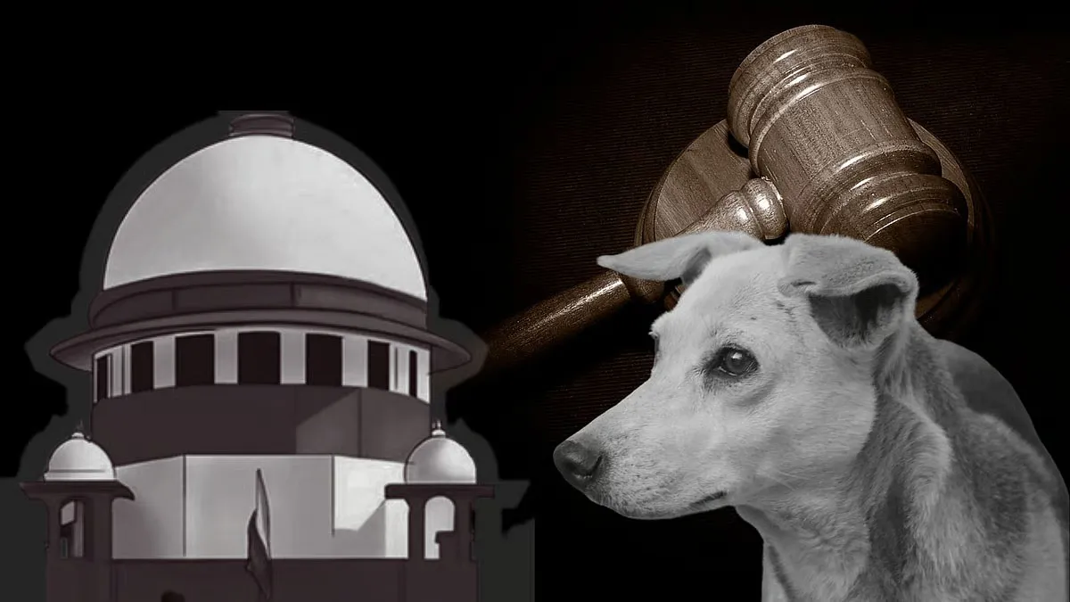 Supreme Court on Stray Dogs : आवारा कुत्तों पर सख्त हुआ सुप्रीम कोर्ट, कहा– आदेशों की अनदेखी बर्दाश्त नहीं