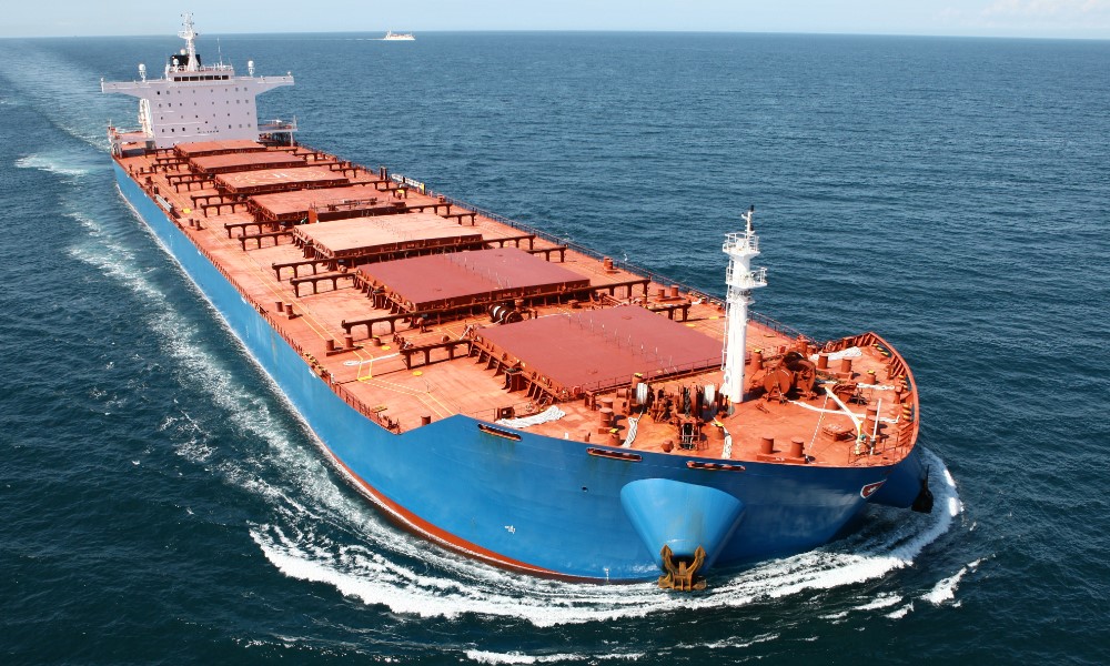 Norden names new dry cargo head