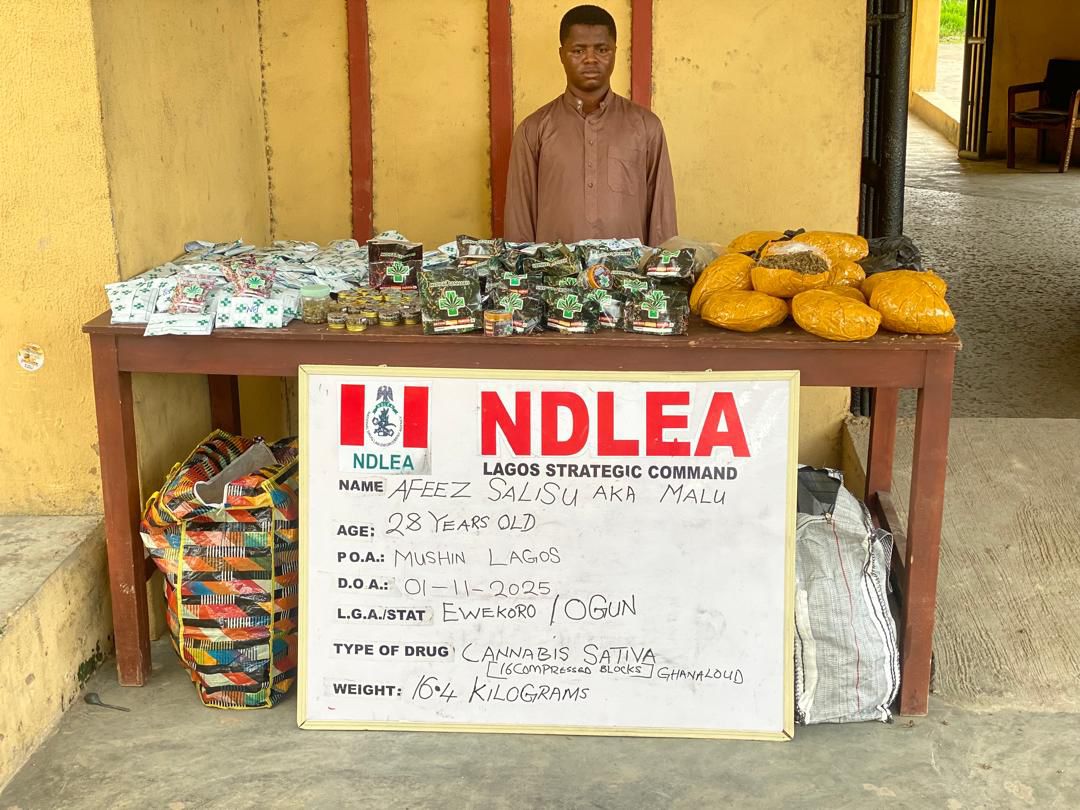 Fake Medicinal Cannabis Ring Busted: NDLEA Recovers Large Consignment, Nabs Suspect