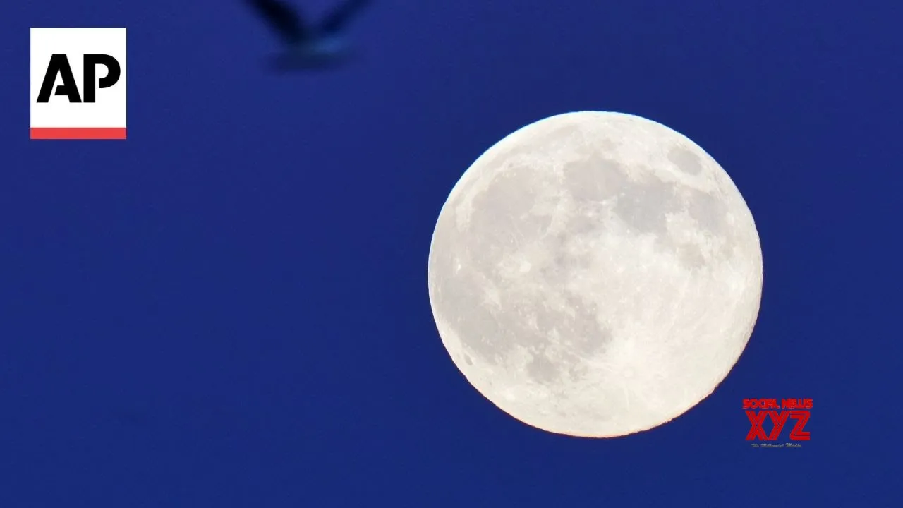 Largest supermoon of 2025 shines across the world (Video)