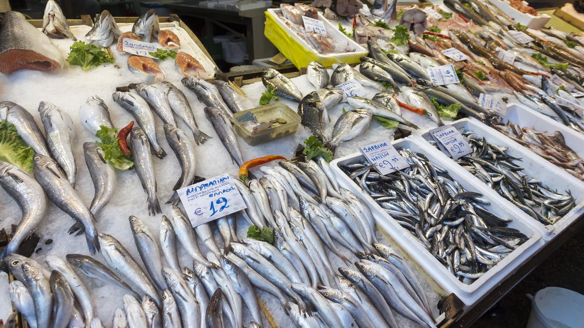 India’s seafood exports rise 17% to $3.97 billion despite a dip in shipments to US