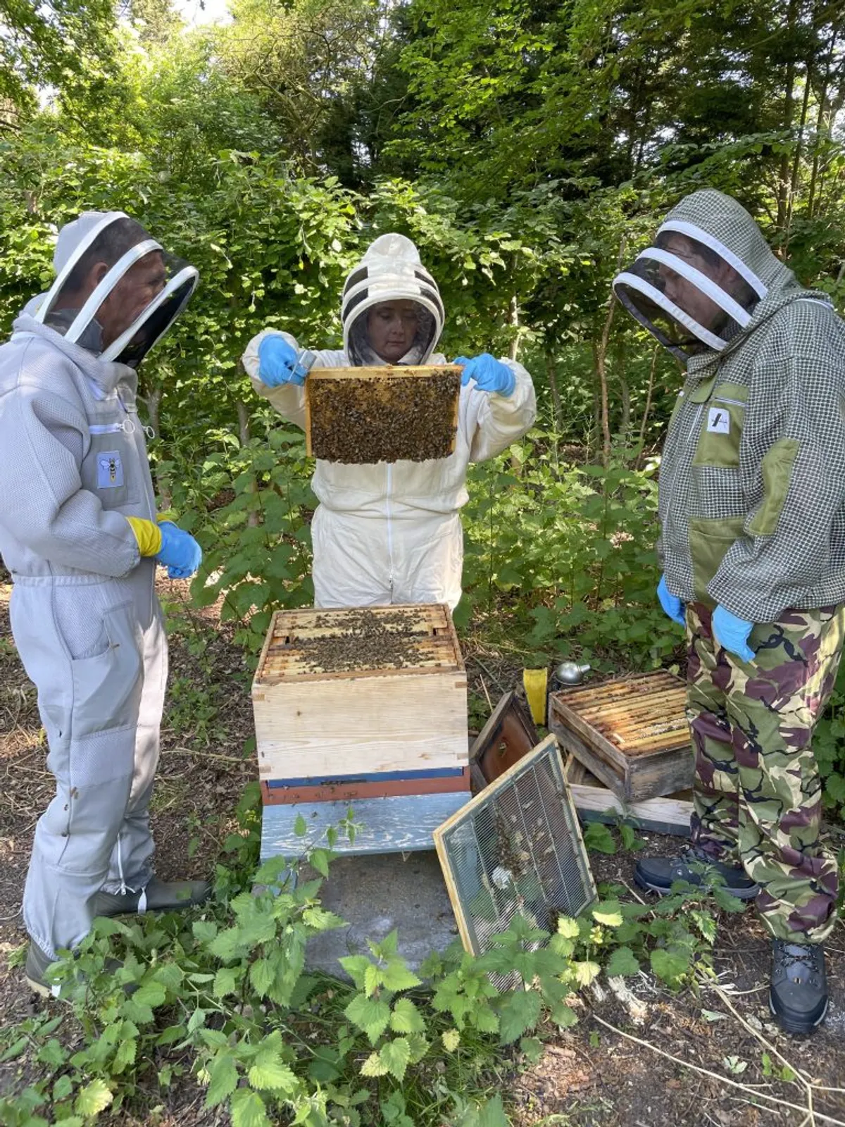 Next generation of Staffordshire beekeepers is set to get buzzing as bookings open for new courses