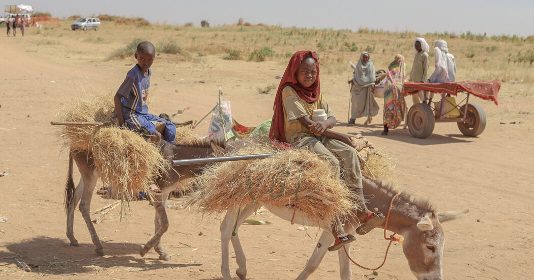 Sudan Is in Free Fall