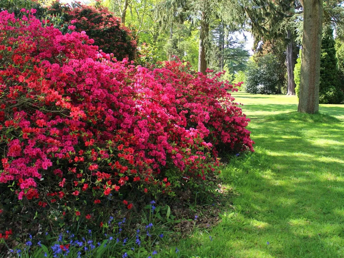 Gardeners told crucial five-minute task in November to prevent costly nightmare