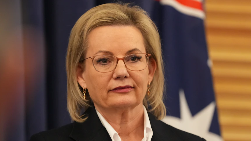 Sussan Ley is learning the risks of giving everyone a say on net zero