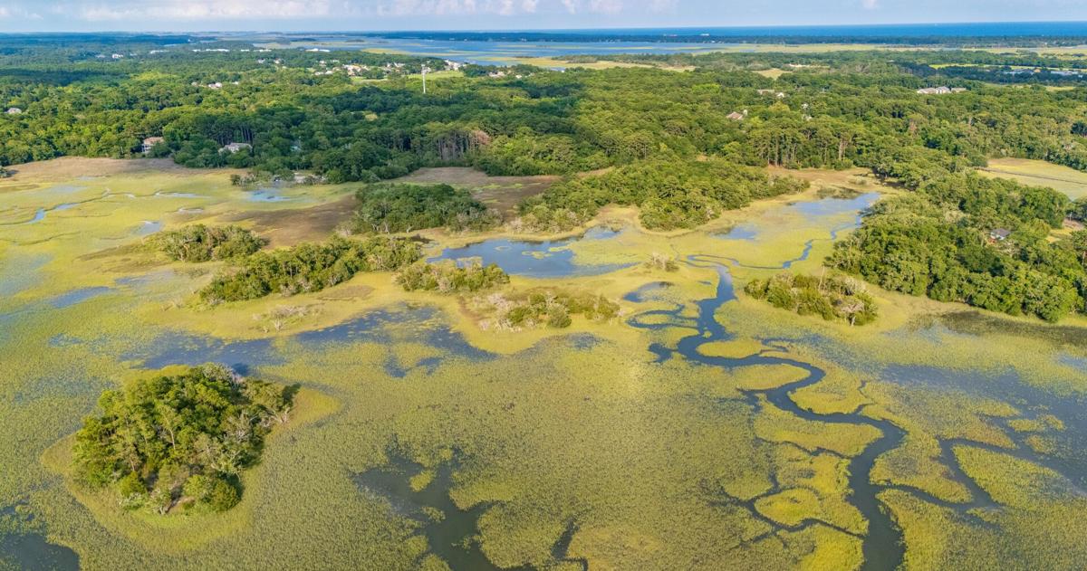 Kiawah Conservancy will preserve 100 acres of land in SC