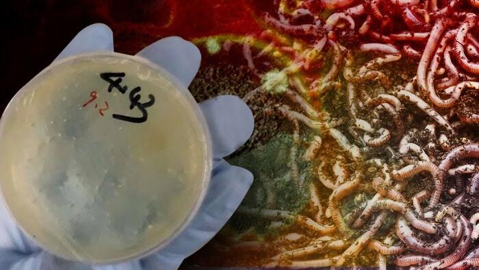 3 More Chinese Researchers Charged With Smuggling Biological Materials Into US