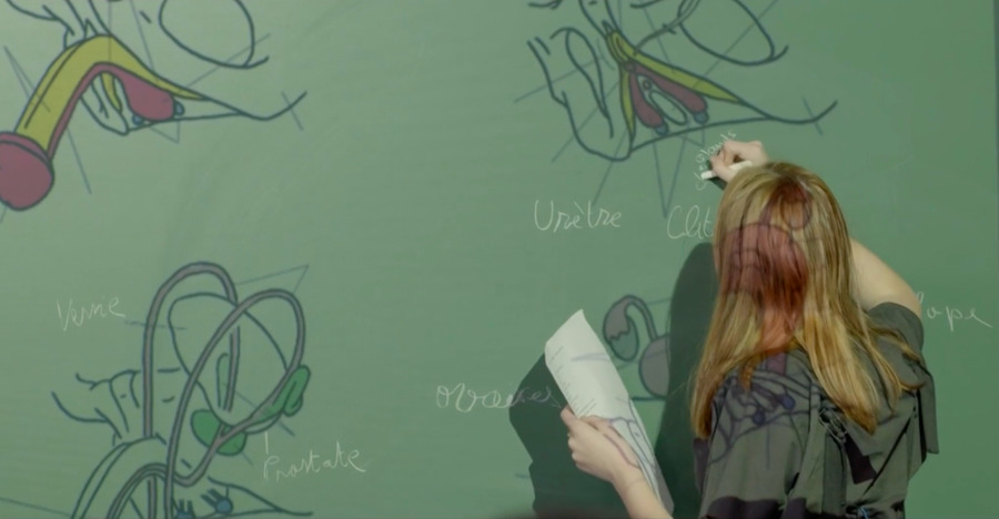 The fight against gender-based violence must include sexual, emotional and relational education