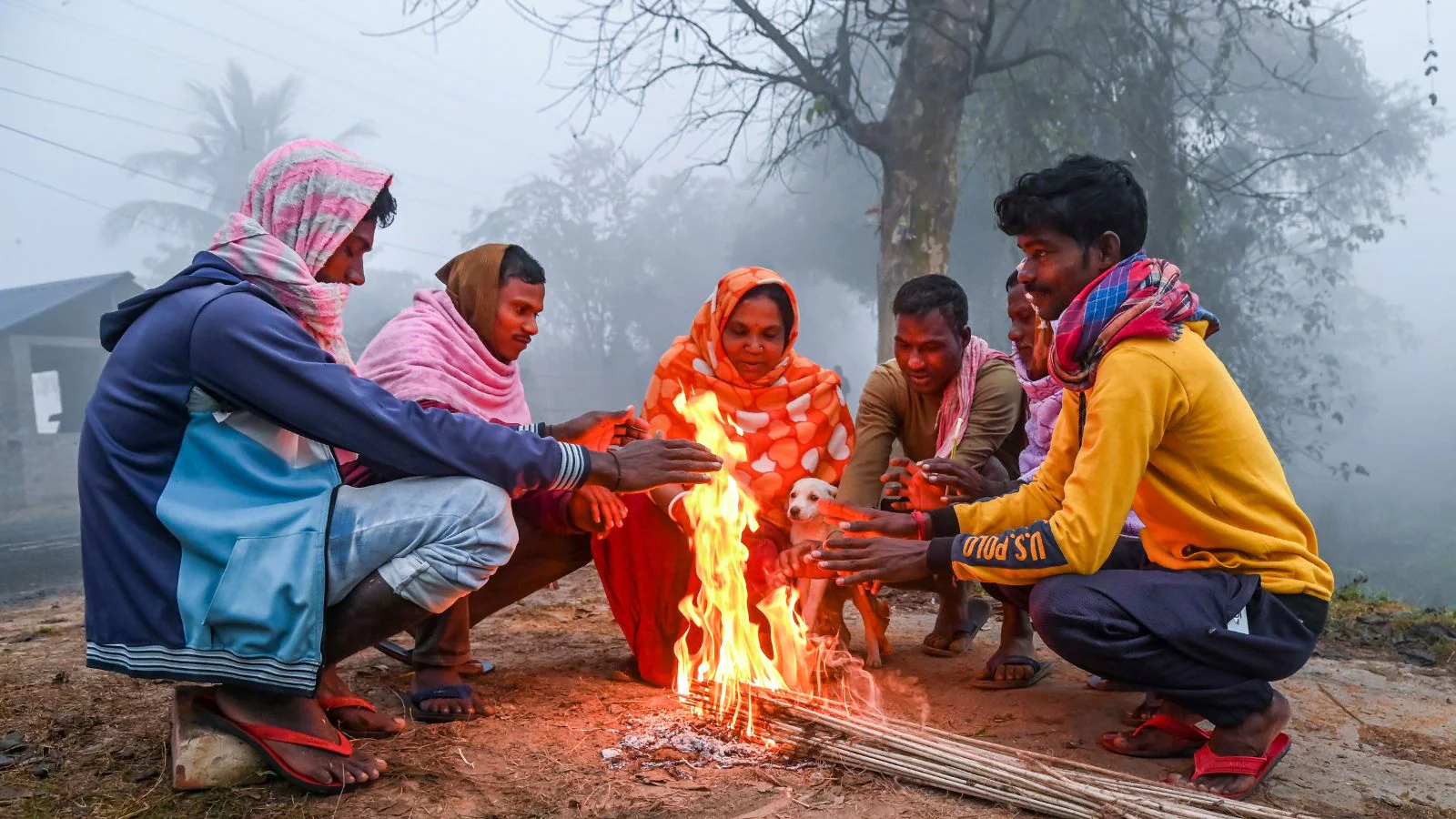 Capital Care: 250 New Shelters And Tech Push For Delhi's Homeless In Winter Action Plan