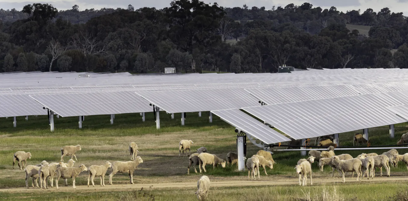 Own goal: why the Nationals’ retreat on net zero would be bad economics