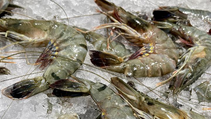 Indonesia Targets 200 Shrimp Containers for U.S. Export After Safety Upgrades