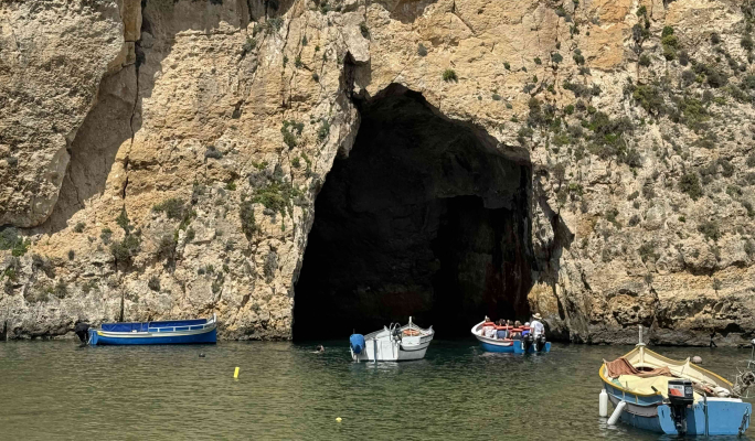Aliens, predators and trampling: Challenges for Gozo’s Natura 2000 sites