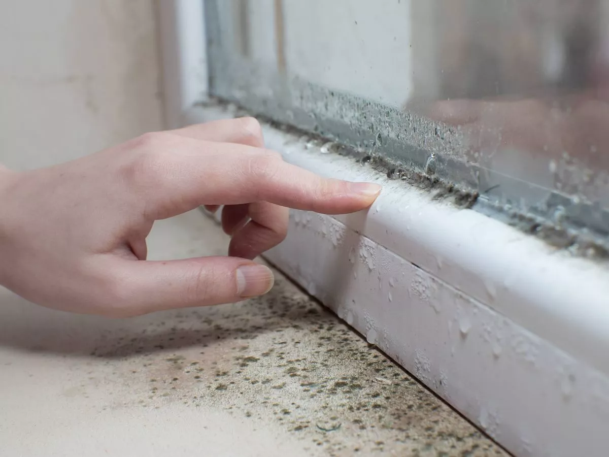 Reduce condensation on windows with expert's 3 simple steps