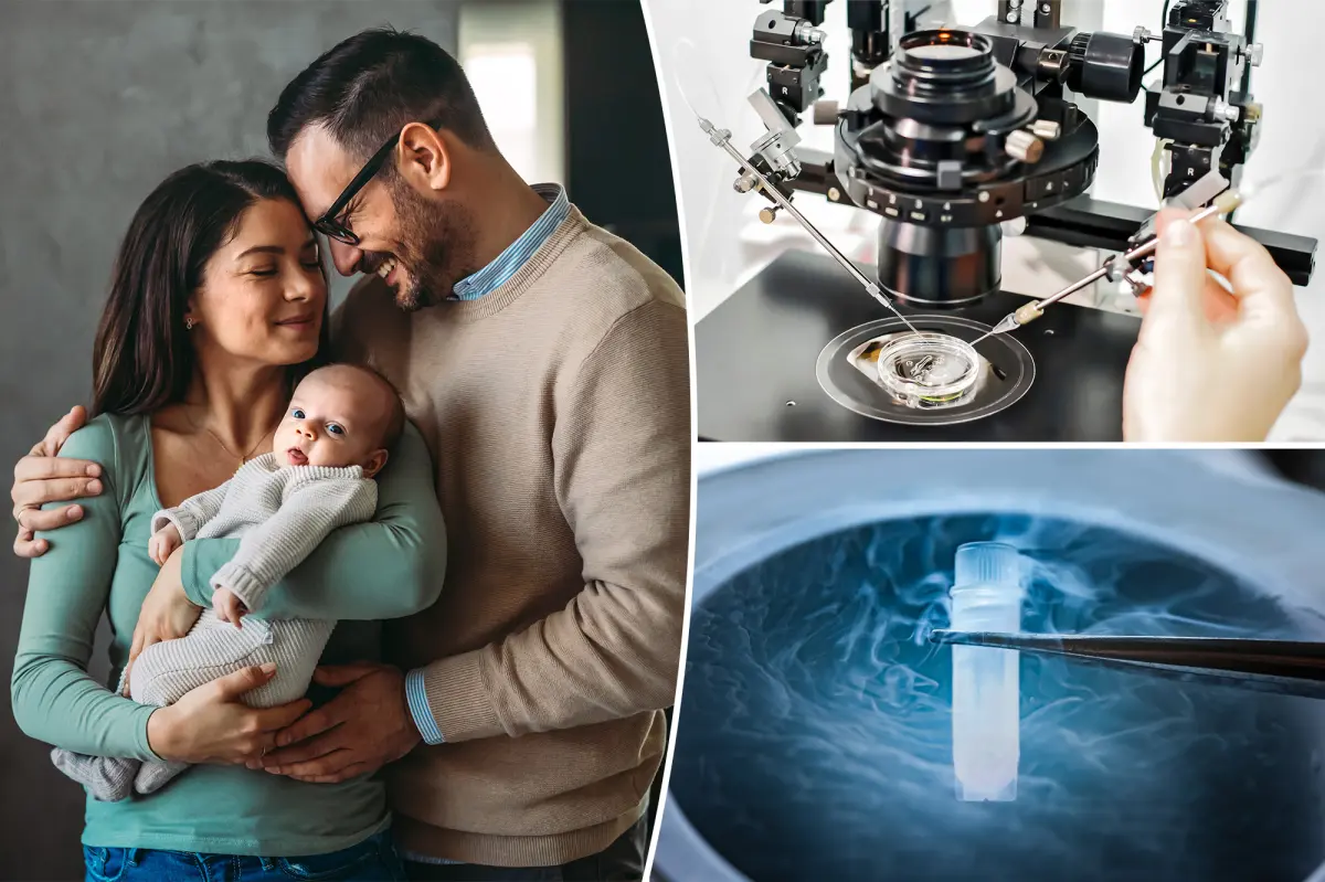 This AI-powered tool predicts IVF success 90% of the time