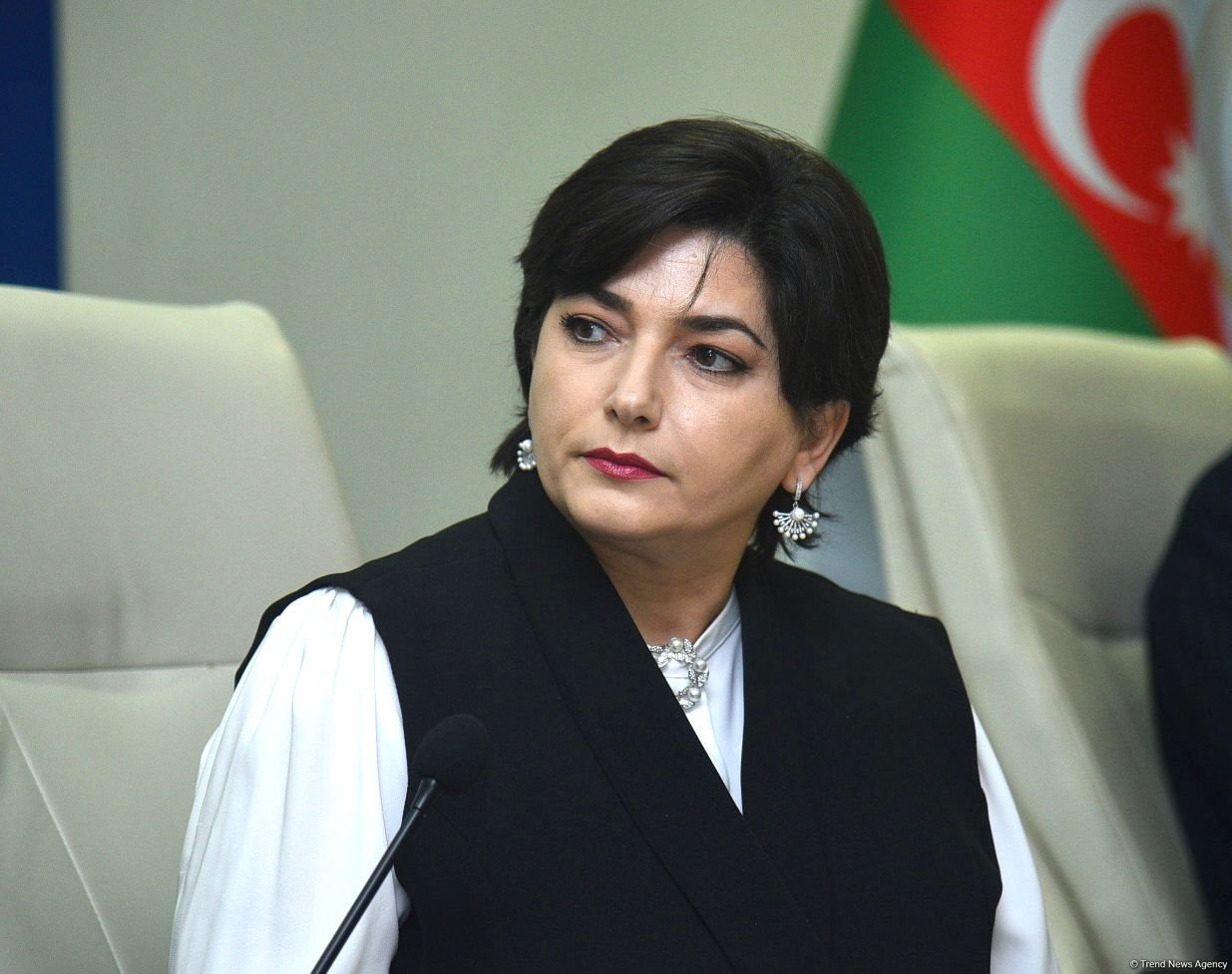 Azerbaijani media official calls out use of foreign words in native language