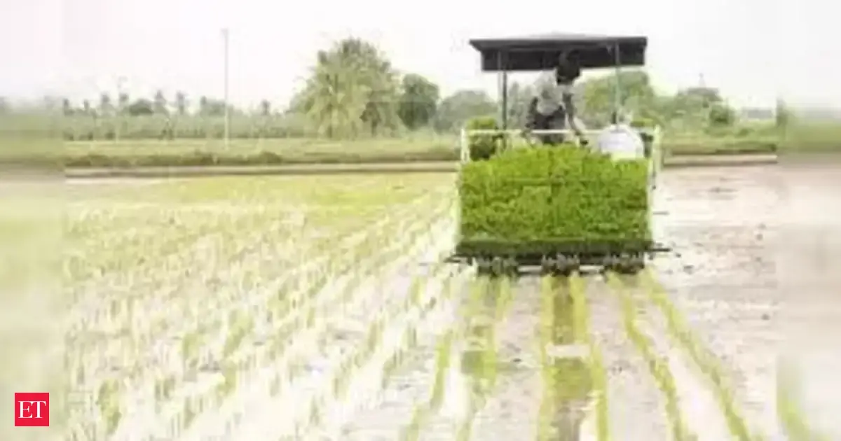 UP govt to give 1 pc recovery rebate on non-hybrid paddy; 15 lakh farmers to benefit