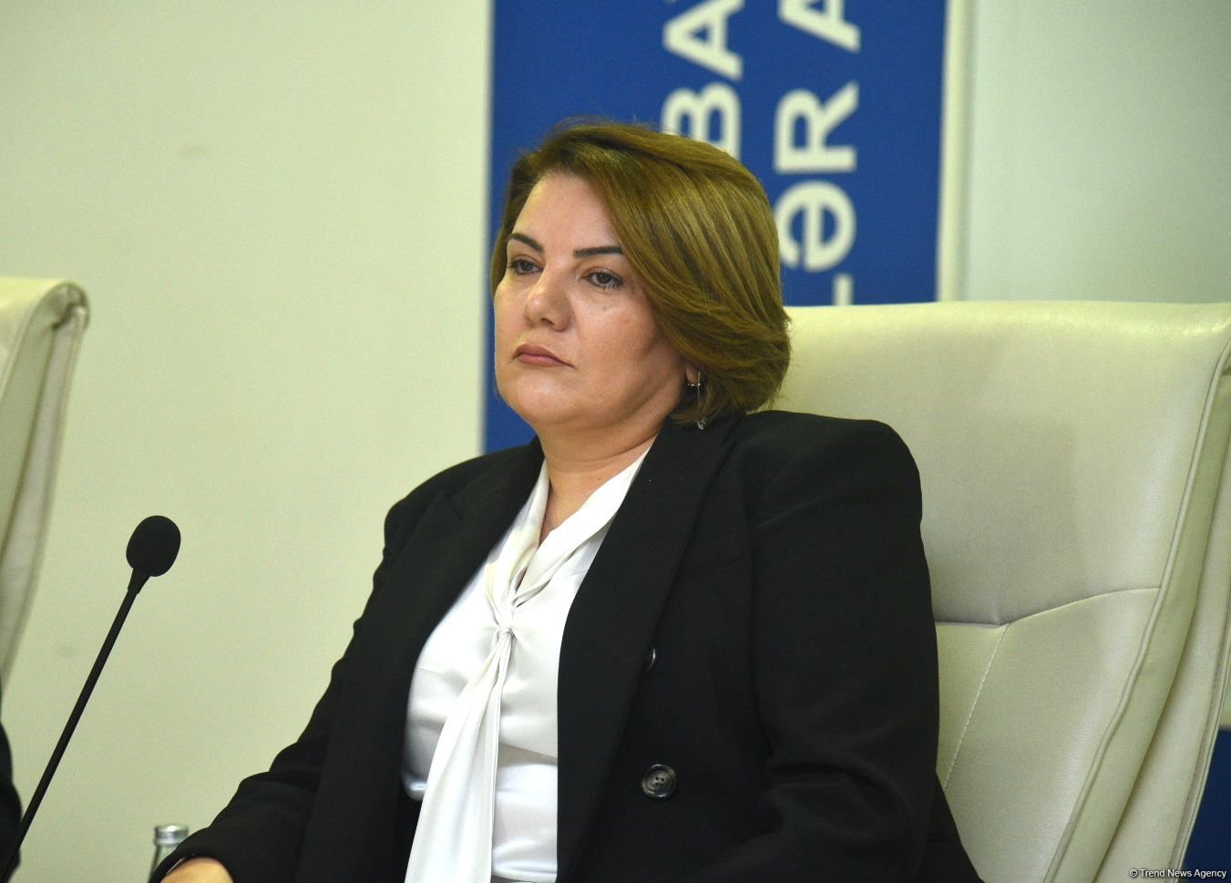APA chief stresses necessity to harness AI for Azerbaijani language verification
