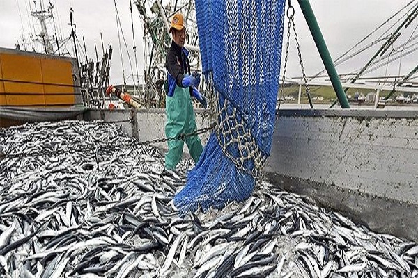 Unlocking the potentials in ‘little fishing industry’