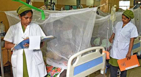 B’desh: Five more people die of dengue, fatalities rise to 307