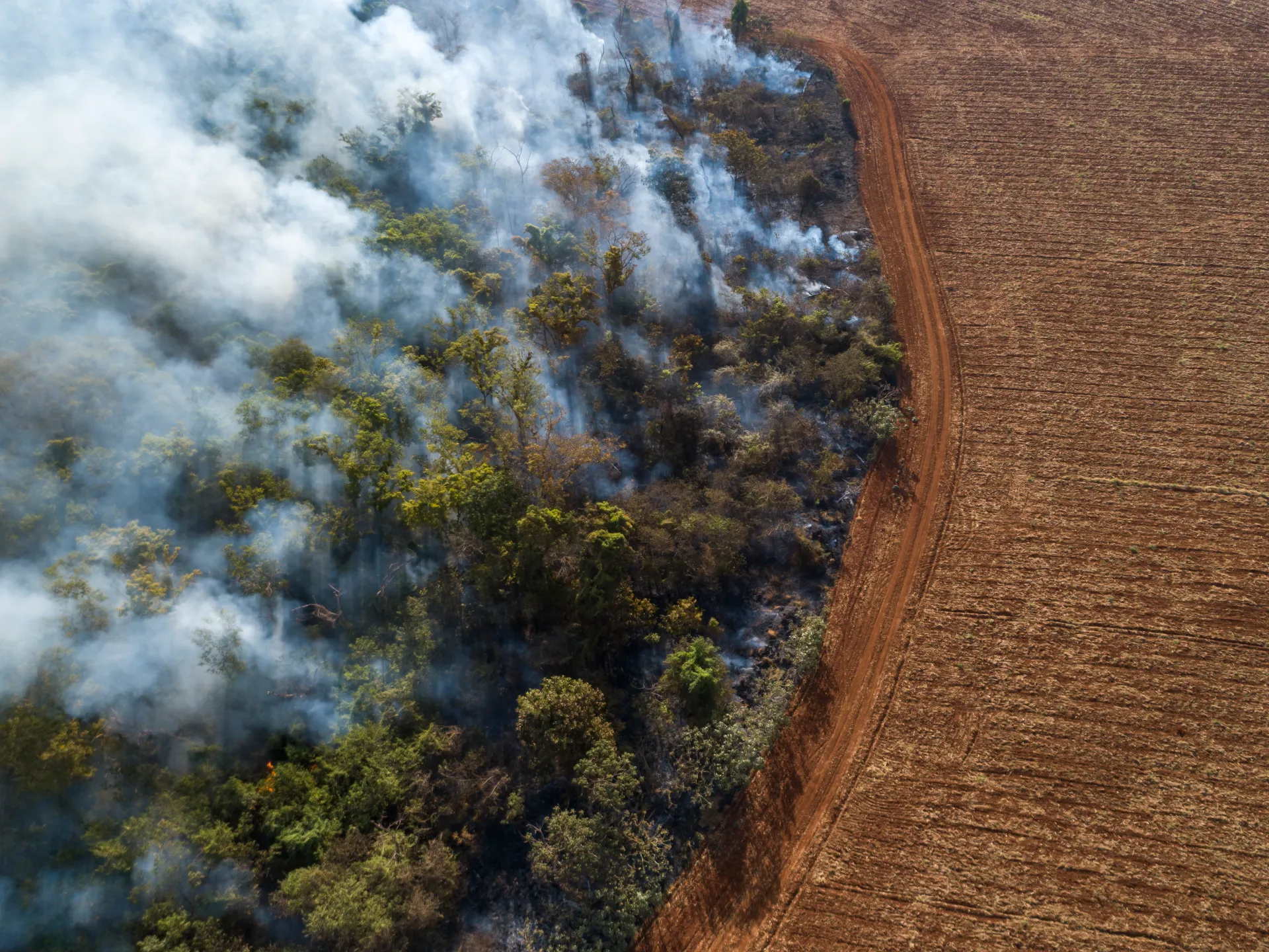 Brazil’s soya moratorium slowed Amazon deforestation. Now it’s challenged