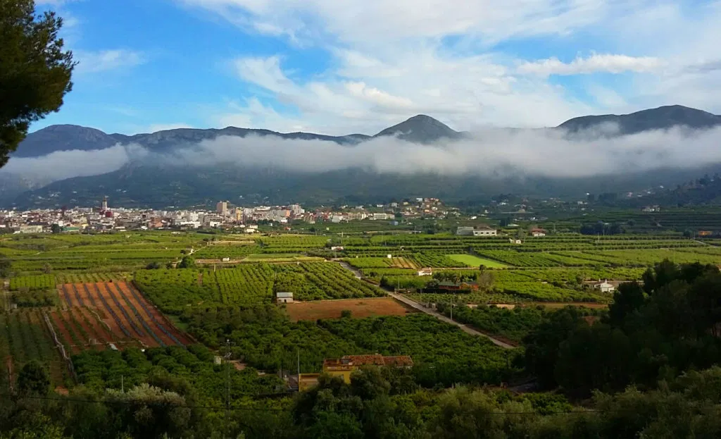 Residents urged to join charity run and make every kilometre count in battle against cancer