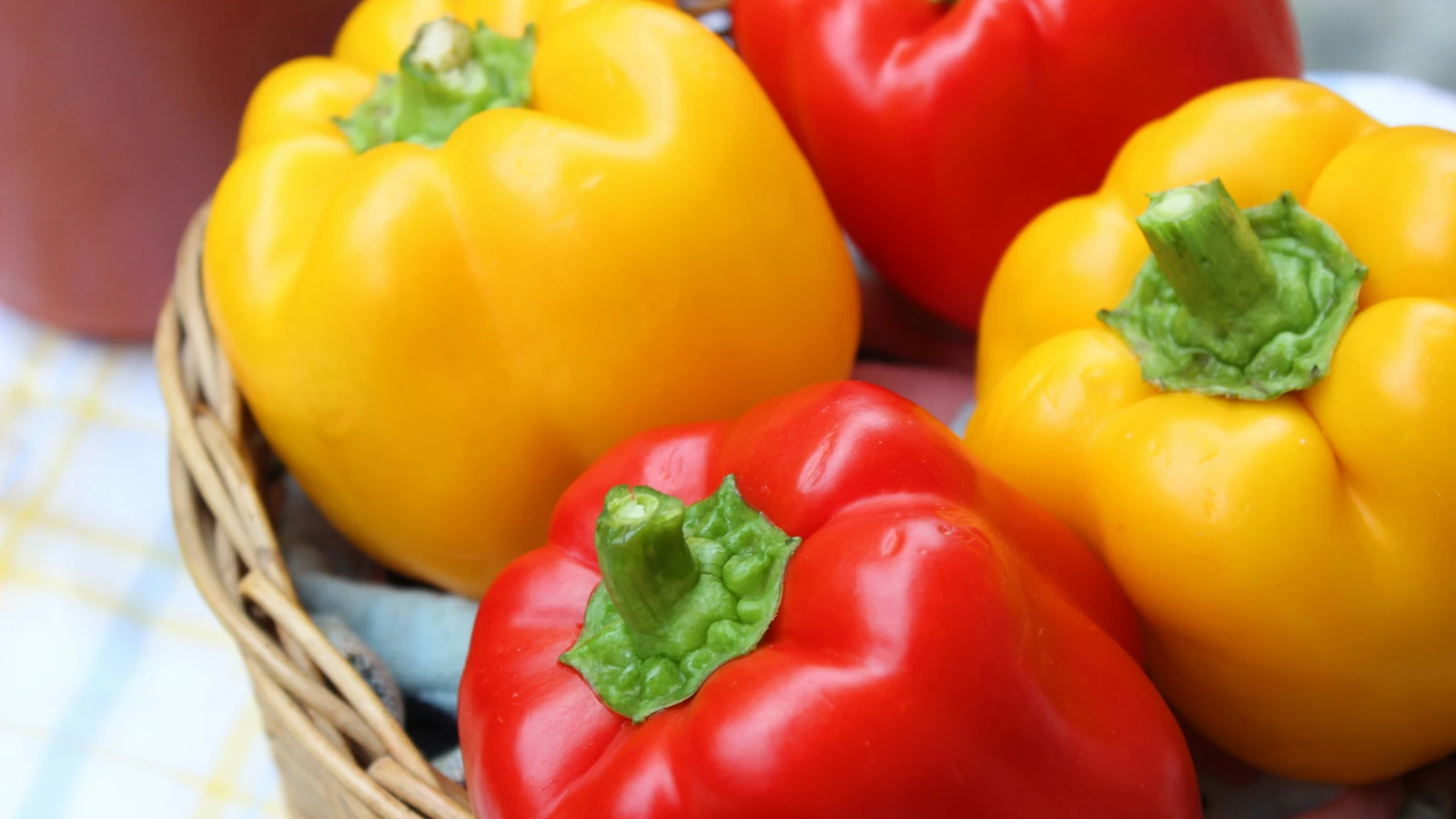 From Muhammara to Ratatouille, Try These 3 Dishes for National Bell Pepper Month