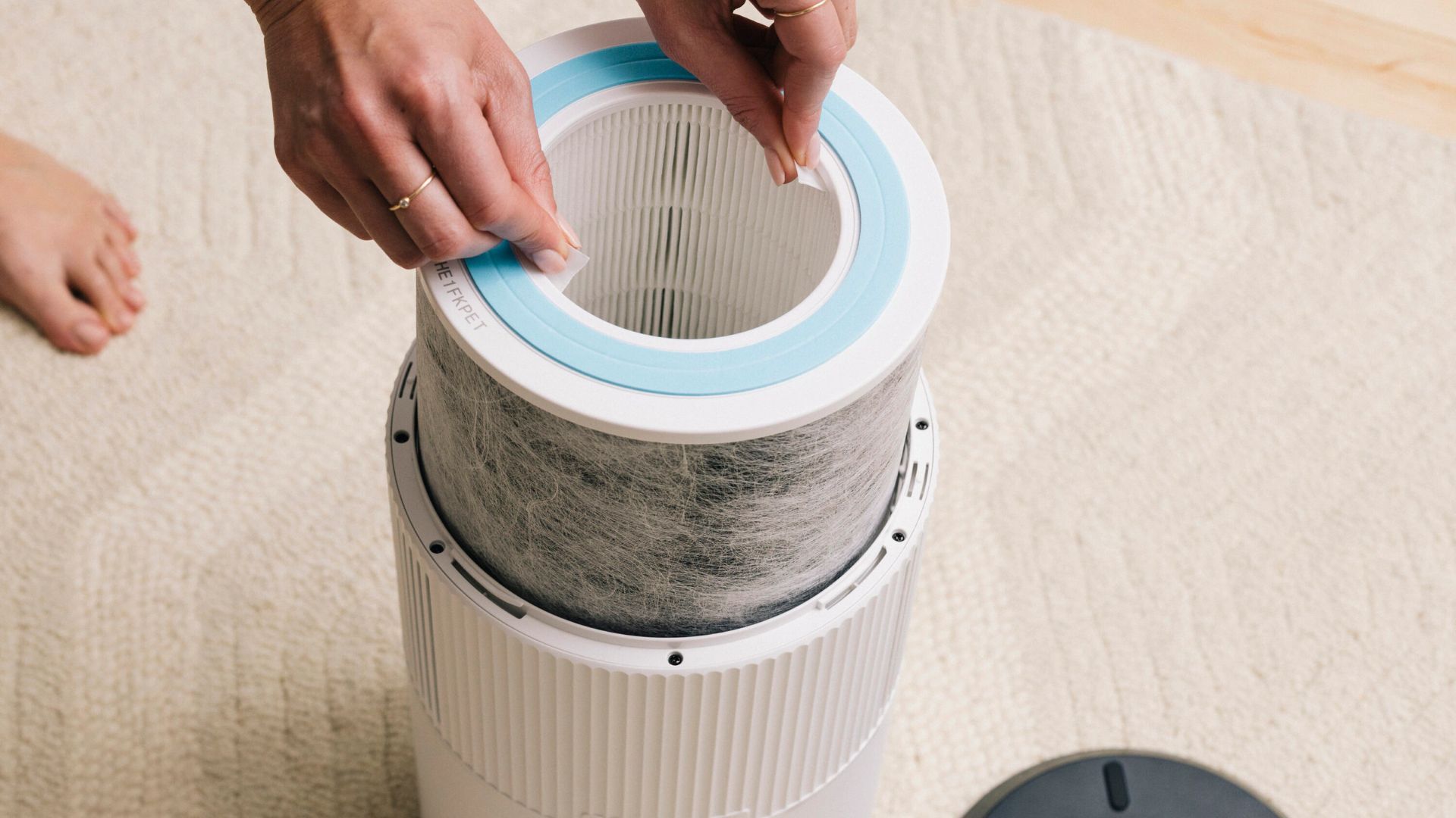 Can you clean and reuse your air purifier filter? I asked the experts