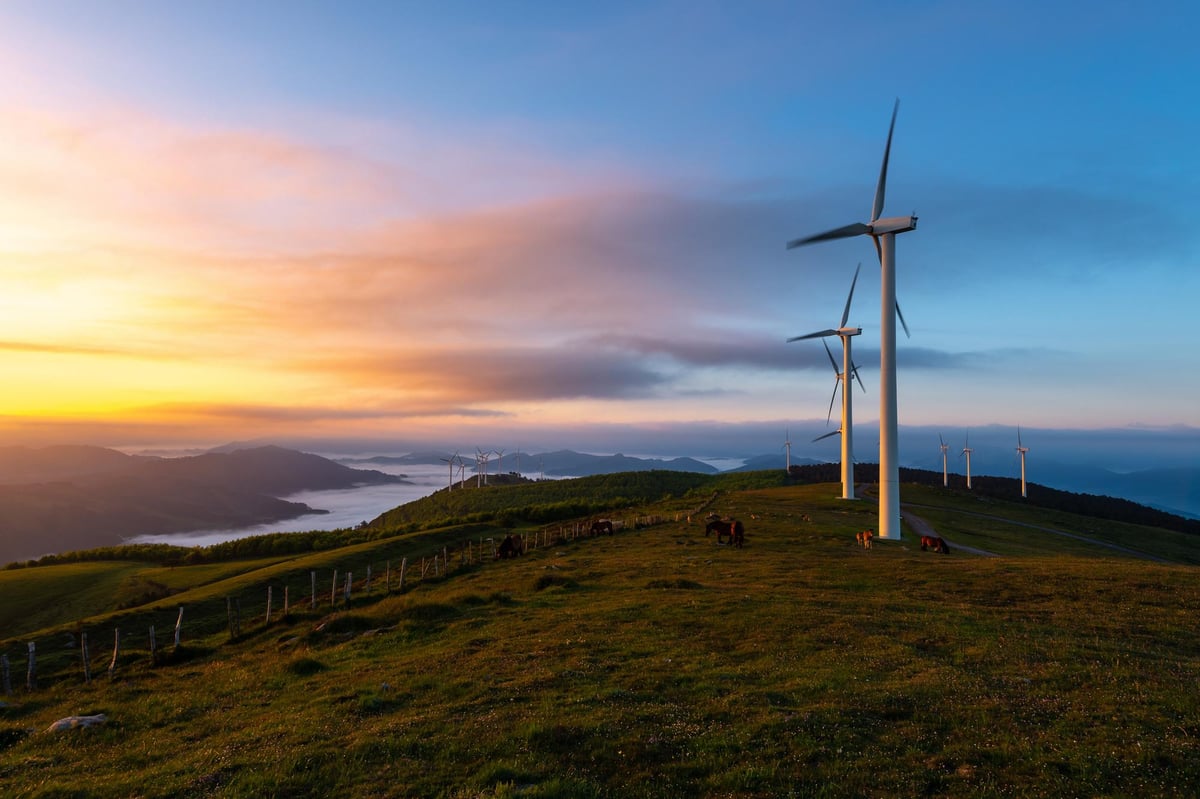 Buncrana windfarm unable to operate at full capacity due to electricity grid inadequacies, says Pádraig MacLochlainn