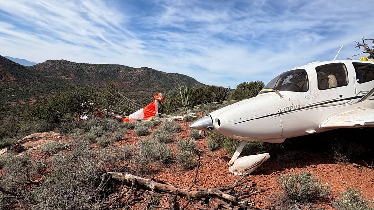 Couple survives plane crash at gorgeous beauty spot thanks to rocket-powered parachute attached to their private plane