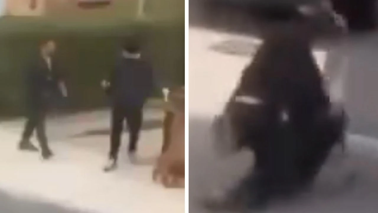 Afghan asylum seeker, 22, arrested over horror triple stabbing that left dog walker, 49, dead in London