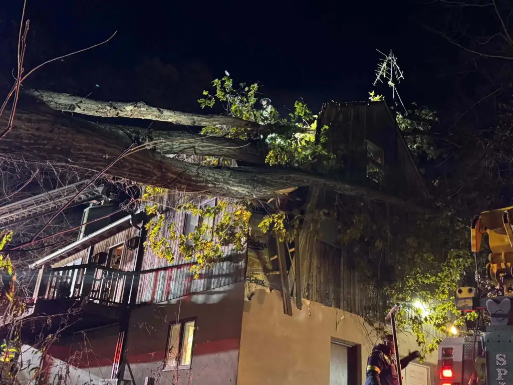 Woman rescued after tree crashes through roof of Berks home, pinning her in bed