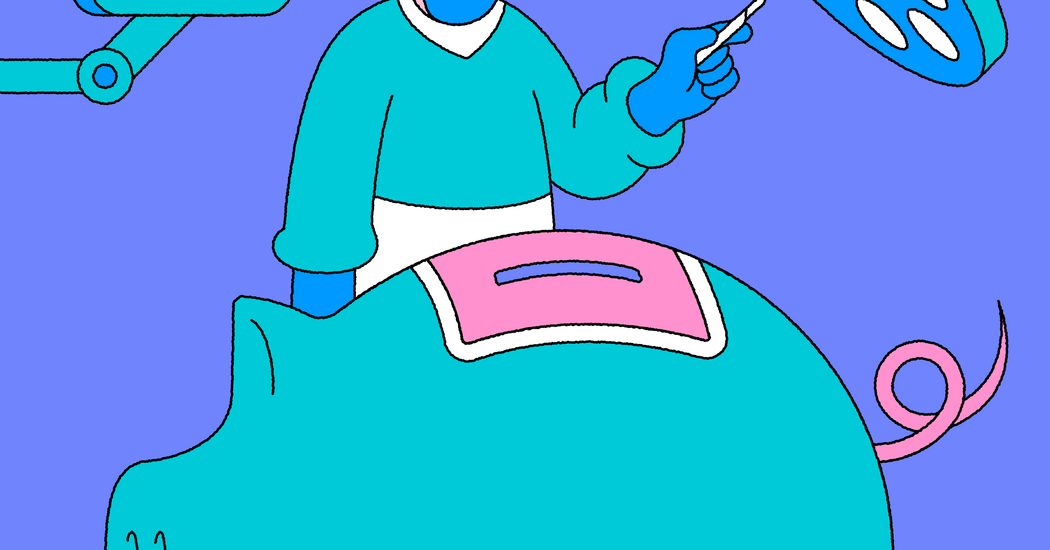 New Rules Aim to Broaden Appeal of H.S.A.s