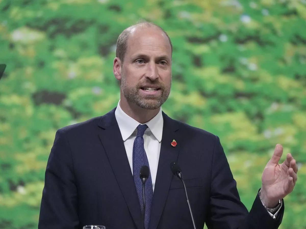Prince William talks about love for Welsh town during global summit speech