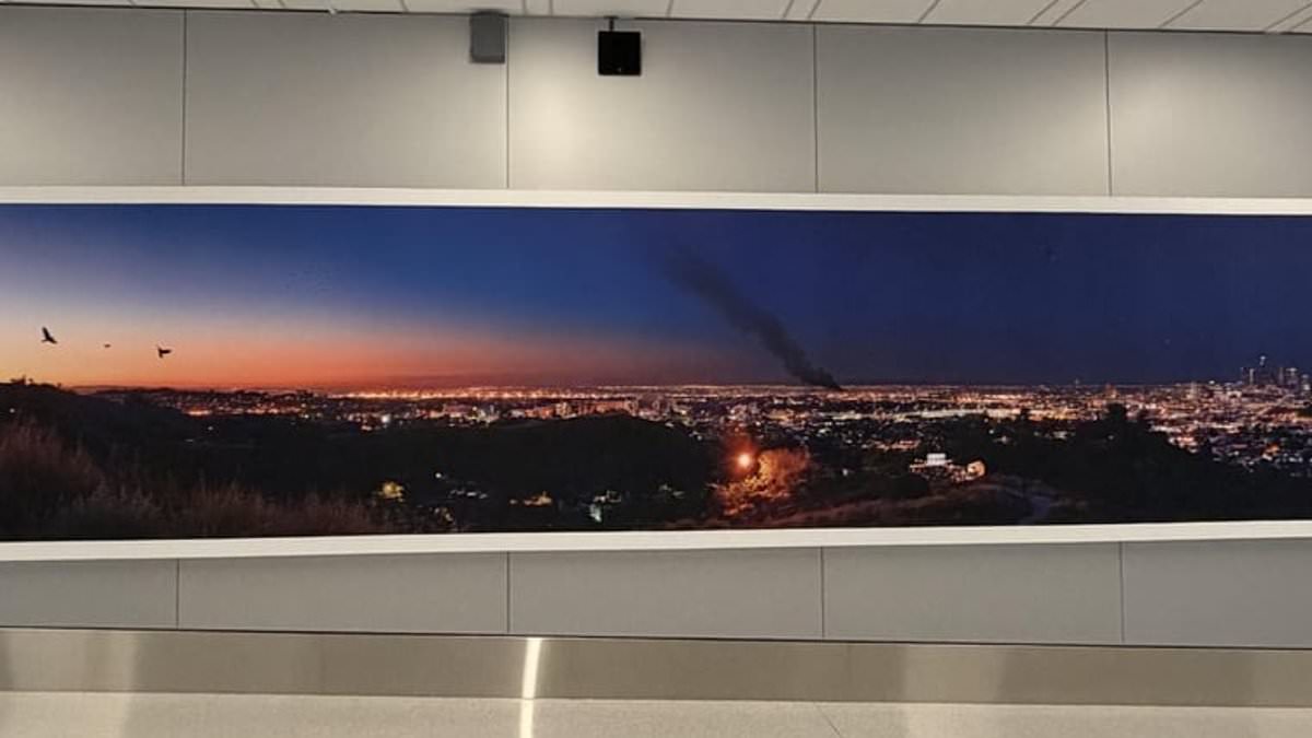 Eagle-eyed airport visitors spot 'ridiculous' feature in panoramic shot of Los Angeles