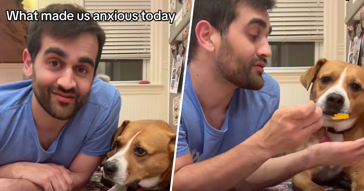 Dog and Owner Take Anxiety Medication Together in Viral Video Series