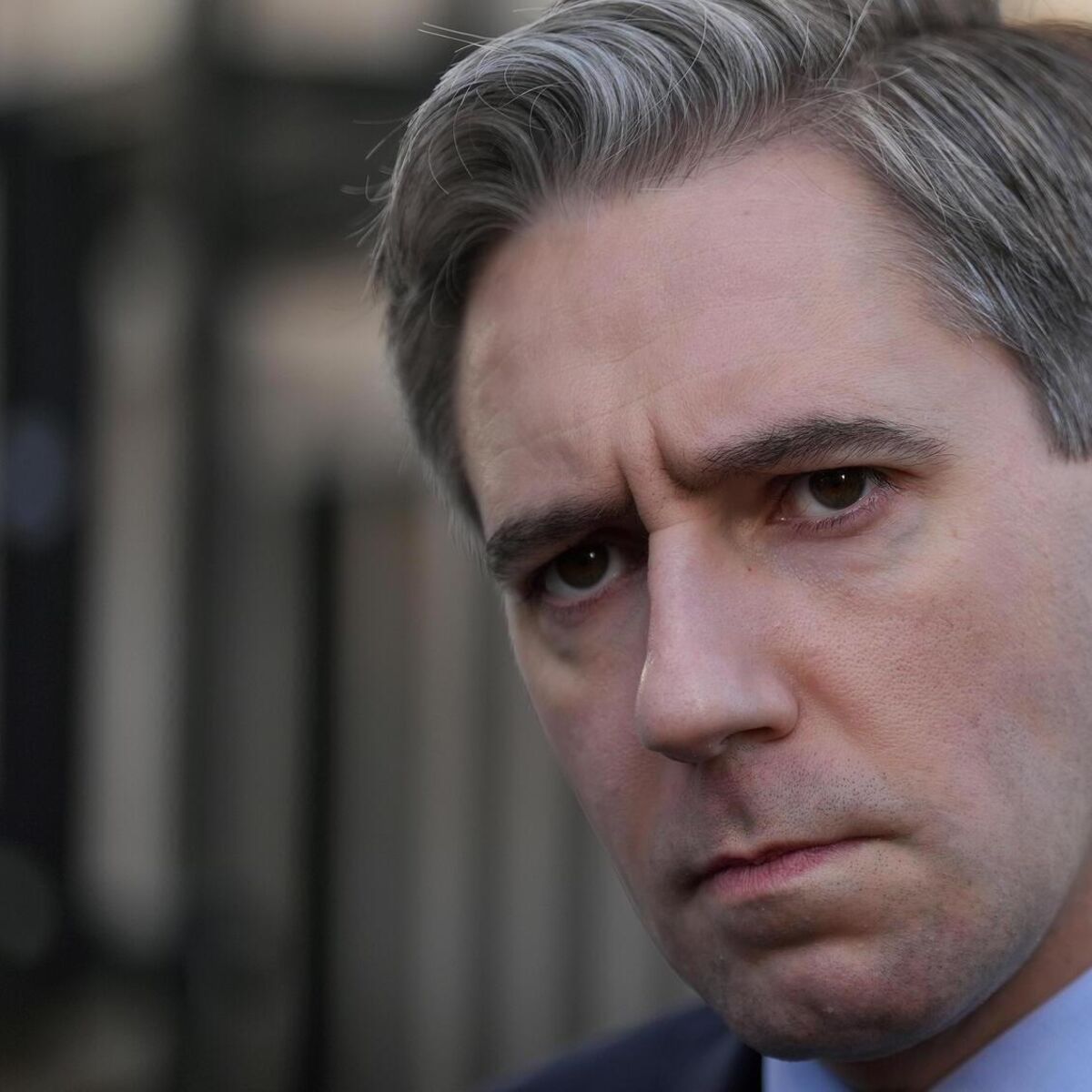 Simon Harris says it's a ‘dog whistle’ to compare him to Nigel Farage