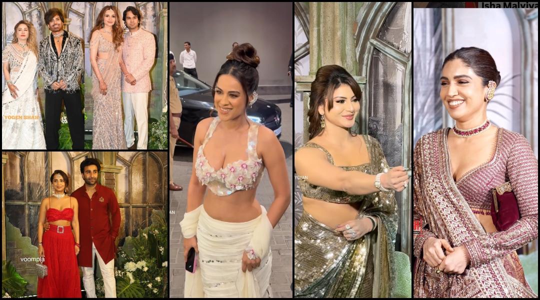 Nia Sharma flaunts midriff, Urvashi Rautela fat-shamed, Alekha–Aadar fail to impress at Yash Birla's son's reception