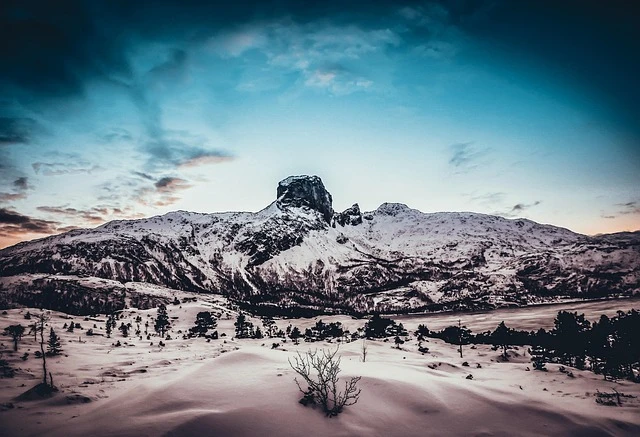 Operation Arctic Frost - BIDEN’S WATERGATE